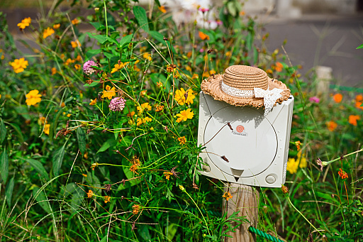 画像ギャラリー No.020のサムネイル画像 / ドリキャスで出会った,たったひとりの親友へ――「なあデカオ。ぐるぐる温泉からいなくなったおまえは今,どこにいる?」