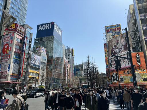 ꡼ No.001Υͥ / ֥ϥԥͥå ե2024դοءײݡȡե󤬤ΤӤ1ᤴΤˤԤäʥ٥Ȥä