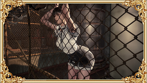 ���������꡼ No.062�Υ���ͥ������ / �Τ��򲹤ͤƿ��������Τ롽�������饷�å��ʺ��ʤ򰦤��륪�ȥʤΤ���Υ����ȥ�å��������ൡ��EVERCADE���θ���