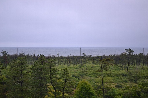 画像集#020のサムネイル/リゾートホテルに2泊3日でアプリ開発。「スマートフォンアプリジャム2014」2日目朝までの模様をレポート