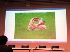 画像ギャラリー No.027のサムネイル画像 / ゲームのイラストを3営業日以内に手配できる? アマナイメージズとファンプレックスが,ストックコンテンツ市場の可能性やゲーム運営移管のノウハウを語ったセミナー「meetup CARTA#01」をレポート