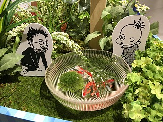 ���������꡼ No.031�Υ���ͥ������ / �ޥե������Ĥ��󼡸����褤������321�������Ư���ޥ󤬹Ԥ�23���ܤ�STRIP! PORTFOLIO��