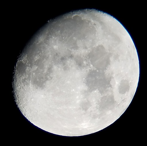 ꡼ No.011 | ޥۤǥꥢ̼¬褦DIYޥŷ˾ PalPANDAפƤߤ