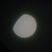 ꡼ No.012 | ޥۤǥꥢ̼¬褦DIYޥŷ˾ PalPANDAפƤߤ