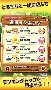 ꡼ No.004 | ޥŵ£ѥ륢ץ֥ޥѥ פפۿ