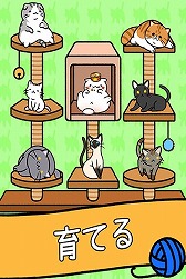 ���������꡼ No.004�Υ���ͥ������ / �ѥ���Ȥͤ����Ĥ����Ǥ�Ʊ���˳ڤ����ֻ������ǭ����ɥߥ˥����Cat Condo�פ�au���ޡ��ȥѥ����о�