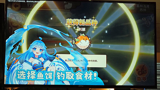 ꡼ No.015Υͥ / ץ쥤䡼ˤȤä̴ˤʤ뤫᡼Nino Networkפि򸫤CJ2024