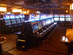 ���������꡼ No.012�Υ���ͥ������ / ��˥塼���륪���ץ󤷤��֥�������GiGO�ס��������ʡ���ե���������Ҳ�