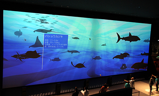 ꡼ No.006Υͥ / BBCζƱץȡOrbi Yokohamaסʥӥ͡ˤ2013ǯ819˥ץ󡣥ץ쥹˳Ť줿ͤݡ