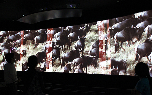 ꡼ No.009Υͥ / BBCζƱץȡOrbi Yokohamaסʥӥ͡ˤ2013ǯ819˥ץ󡣥ץ쥹˳Ť줿ͤݡ