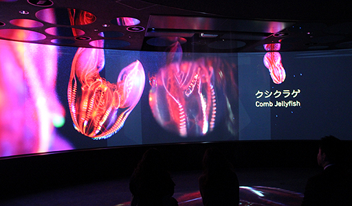 ꡼ No.013Υͥ / BBCζƱץȡOrbi Yokohamaסʥӥ͡ˤ2013ǯ819˥ץ󡣥ץ쥹˳Ť줿ͤݡ