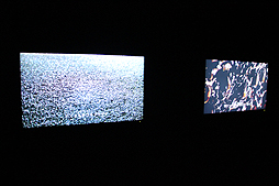 ꡼ No.016Υͥ / BBCζƱץȡOrbi Yokohamaסʥӥ͡ˤ2013ǯ819˥ץ󡣥ץ쥹˳Ť줿ͤݡ