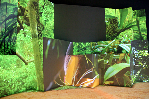 ꡼ No.017Υͥ / BBCζƱץȡOrbi Yokohamaסʥӥ͡ˤ2013ǯ819˥ץ󡣥ץ쥹˳Ť줿ͤݡ