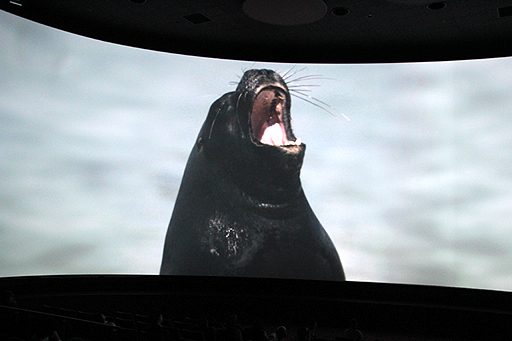 ꡼ No.026Υͥ / BBCζƱץȡOrbi Yokohamaסʥӥ͡ˤ2013ǯ819˥ץ󡣥ץ쥹˳Ť줿ͤݡ