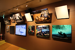 ꡼ No.027Υͥ / BBCζƱץȡOrbi Yokohamaסʥӥ͡ˤ2013ǯ819˥ץ󡣥ץ쥹˳Ť줿ͤݡ