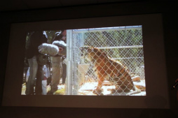 ꡼ No.012 | ץ󥵥ɤΥ󥻥ץȤȱмˡ򼡡˲⡣Υɺ꤬줿ߥʡ֥ץ󥵥ɤϤץݡ