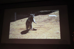 ꡼ No.013 | ץ󥵥ɤΥ󥻥ץȤȱмˡ򼡡˲⡣Υɺ꤬줿ߥʡ֥ץ󥵥ɤϤץݡ