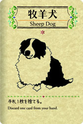 ꡼ No.004Υͥ / 1ѥɥ֥եפ16ȯ䡣1ɤӤ1000ɤ䤽