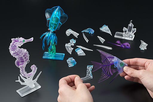 画像集#001のサムネイル/内部が透けて見える新感覚パズル「透明標本パズル」が8月下旬に発売