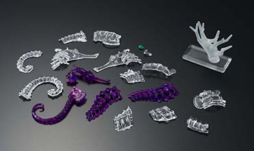 画像集#006のサムネイル/内部が透けて見える新感覚パズル「透明標本パズル」が8月下旬に発売