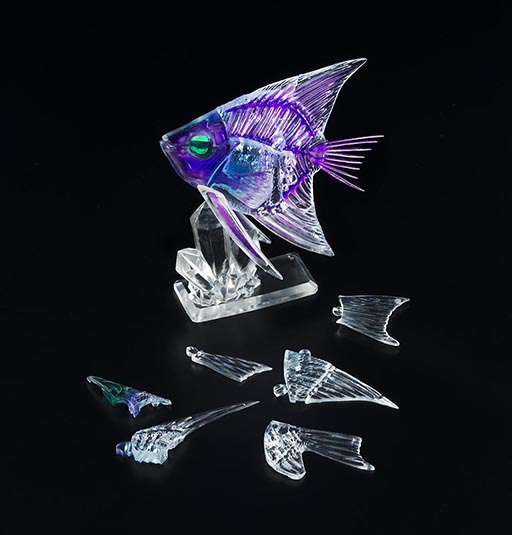 画像集#009のサムネイル/内部が透けて見える新感覚パズル「透明標本パズル」が8月下旬に発売