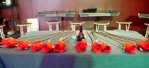 #005Υͥ/Υ९ꥨԿؤֿϵפǷ͡ϥ٥ʥХȥ뤬깭줿֥ƥåȿϵץݡ