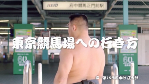 Jraと日本相撲協会のコラボ 日本スモウダービー が期間限定で公開