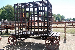 ꡼ No.007Υͥ / ݡɡȥ˥Ϣ緳ȥɥĵĤ襤餸˥٥ȡ֥ɤ襤פͤݡ