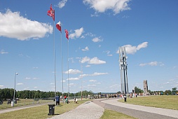 ꡼ No.015Υͥ / ݡɡȥ˥Ϣ緳ȥɥĵĤ襤餸˥٥ȡ֥ɤ襤פͤݡ