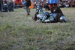 ꡼ No.036Υͥ / ݡɡȥ˥Ϣ緳ȥɥĵĤ襤餸˥٥ȡ֥ɤ襤פͤݡ