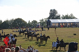 ꡼ No.037Υͥ / ݡɡȥ˥Ϣ緳ȥɥĵĤ襤餸˥٥ȡ֥ɤ襤פͤݡ