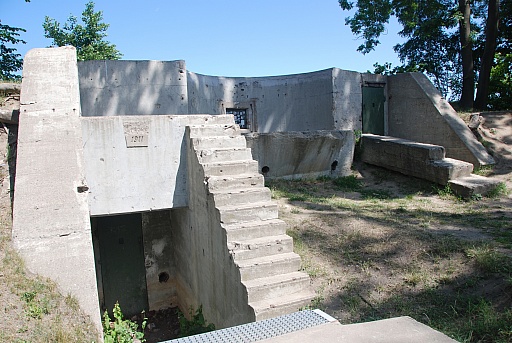 ꡼ No.082Υͥ / ݡɡȥ˥Ϣ緳ȥɥĵĤ襤餸˥٥ȡ֥ɤ襤פͤݡ