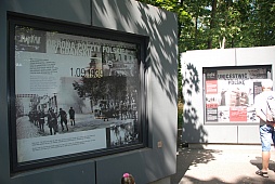 ꡼ No.084Υͥ / ݡɡȥ˥Ϣ緳ȥɥĵĤ襤餸˥٥ȡ֥ɤ襤פͤݡ