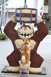 ���������꡼ No.004�Υ���ͥ������ / �֥ԥ�����׿��ɤ˥֥��å�8���ԡ����������Ķ����ѥå��ޥ󤬽и�