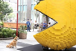 ���������꡼ No.006�Υ���ͥ������ / �֥ԥ�����׿��ɤ˥֥��å�8���ԡ����������Ķ����ѥå��ޥ󤬽и�