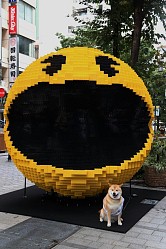 ���������꡼ No.008�Υ���ͥ������ / �֥ԥ�����׿��ɤ˥֥��å�8���ԡ����������Ķ����ѥå��ޥ󤬽и�