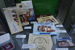 ꡼ No.004 | gamescom֤ȥ祳졼ȡ˹Ԥä餼ΩꤿޡΥݥåȤҲ