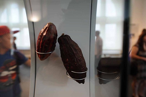 ꡼ No.006 | gamescom֤ȥ祳졼ȡ˹Ԥä餼ΩꤿޡΥݥåȤҲ