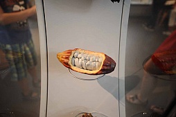 ꡼ No.007 | gamescom֤ȥ祳졼ȡ˹Ԥä餼ΩꤿޡΥݥåȤҲ