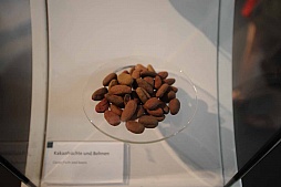 ꡼ No.008 | gamescom֤ȥ祳졼ȡ˹Ԥä餼ΩꤿޡΥݥåȤҲ