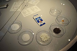 ꡼ No.011 | gamescom֤ȥ祳졼ȡ˹Ԥä餼ΩꤿޡΥݥåȤҲ