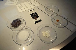 ꡼ No.012 | gamescom֤ȥ祳졼ȡ˹Ԥä餼ΩꤿޡΥݥåȤҲ