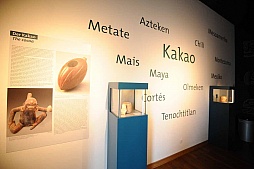 ꡼ No.022 | gamescom֤ȥ祳졼ȡ˹Ԥä餼ΩꤿޡΥݥåȤҲ