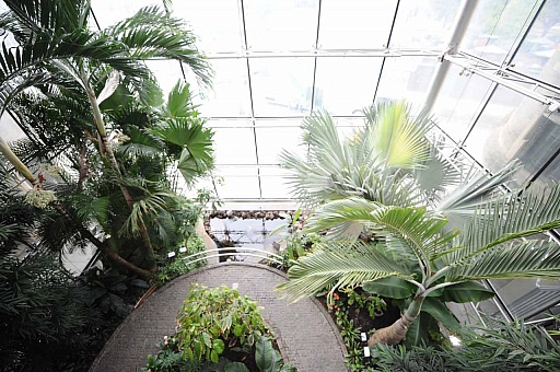 ꡼ No.025 | gamescom֤ȥ祳졼ȡ˹Ԥä餼ΩꤿޡΥݥåȤҲ