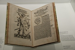 ꡼ No.015 | ɥ쥹ǥΥɥϢˮʪۤǡ鸽ޤǤηˤޤĤ뤢줳ǽƤ