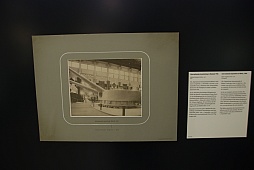 ꡼ No.027 | ɥ쥹ǥΥɥϢˮʪۤǡ鸽ޤǤηˤޤĤ뤢줳ǽƤ