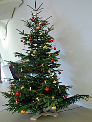 ���������꡼ No.059�Υ���ͥ������ / �ɥ쥹�ǥ�Υɥ���Ϣˮ����������ʪ�ۤǡ��������鸽��ޤǤη����ˤޤĤ�뤢�줳���ǽ���Ƥ���