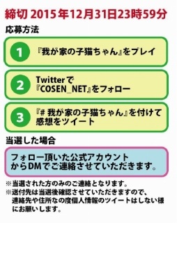 ꡼ No.002Υͥ / ֲ椬Ȥλǭ饹ǯϤTwitterڡ»