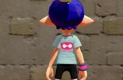 ꡼ No.033 | KOGΡ֥ץȥץǥT5ƤϡΥT祳Tо졣˥䥳å奭åפ