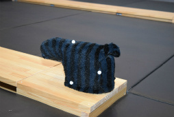 ꡼ No.014Υͥ / ХʥॳСƥ˻ųݤVR󥿡ƥȸߡɡVR ZONE Project i Canפ򤸤äθƤߤ